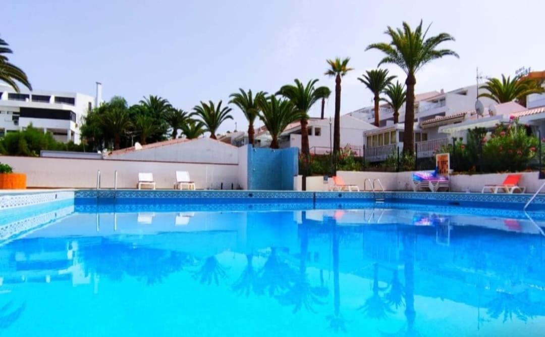 Studio Las Americas Monkey Beach 플라야데라스아메리카스 외부 사진