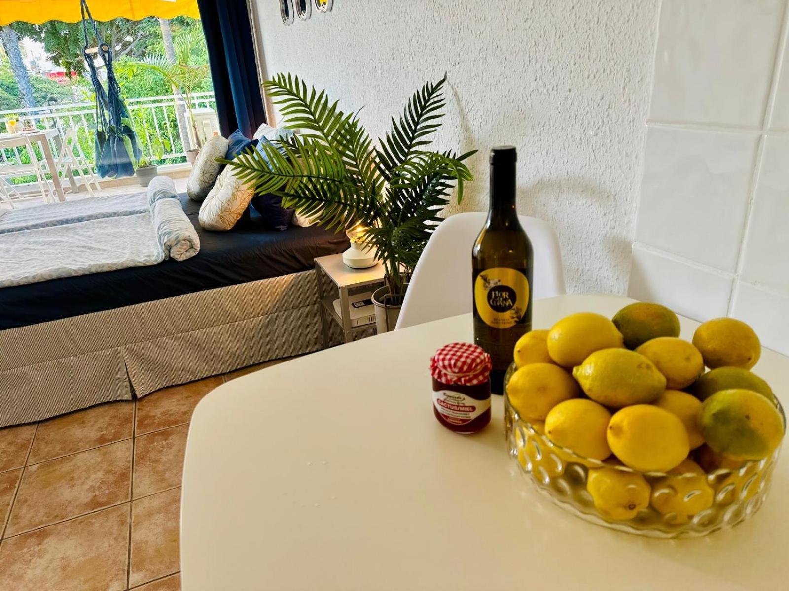 Studio Las Americas Monkey Beach 플라야데라스아메리카스 외부 사진